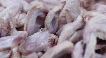 China detecta coronavírus em asa de frango importada do Brasil